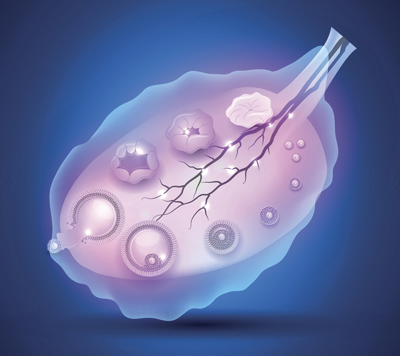 南京试管婴儿选哪家？一、二、三代试管，不同人群的个性化选择指南